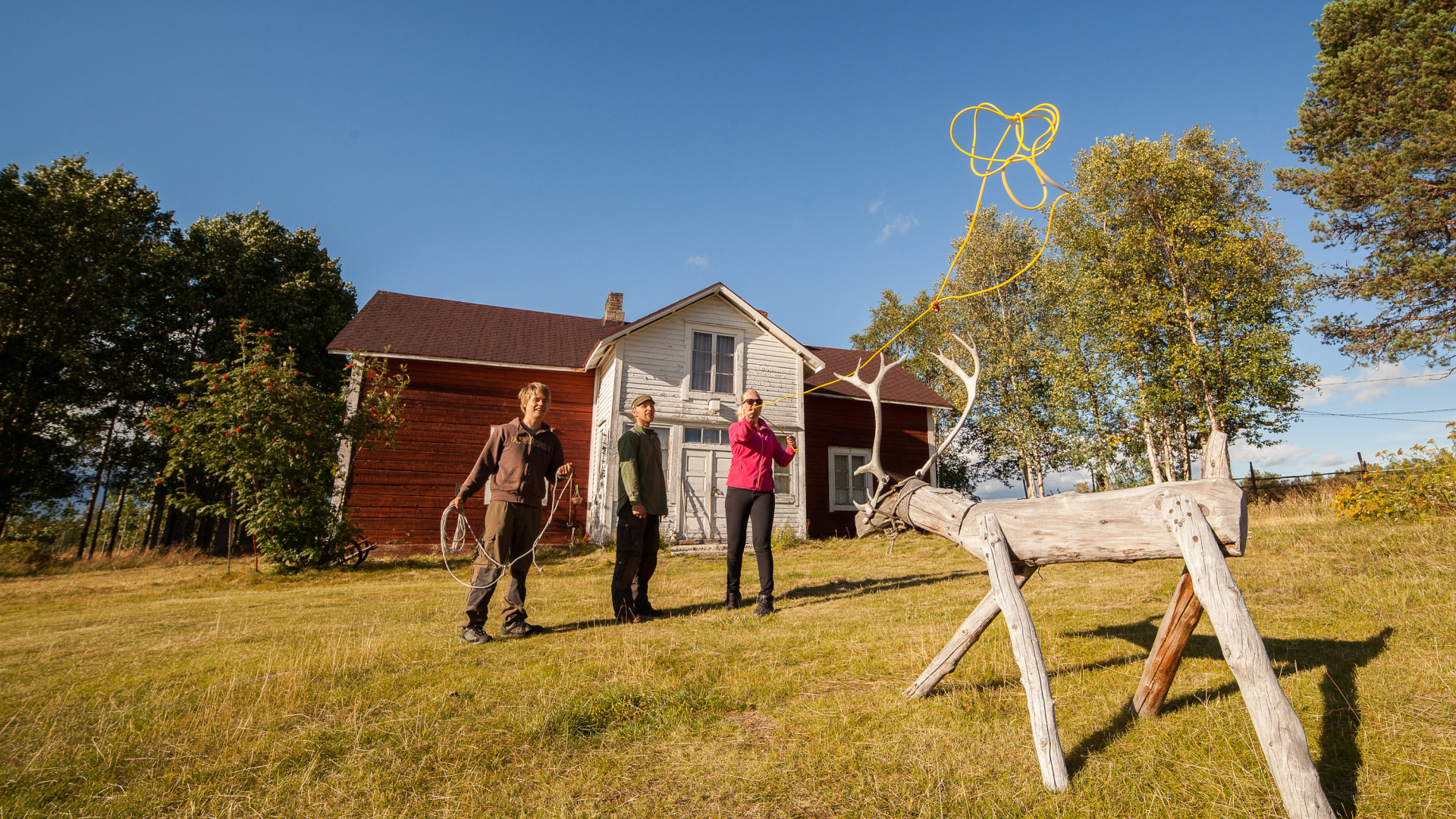 Lasso werfen an der Rentierfarm